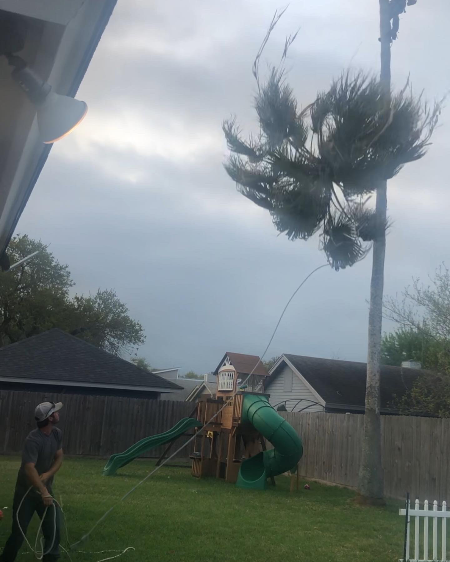 Tree Trimming Services 3838 Floerke Rd, Taft Texas 78390