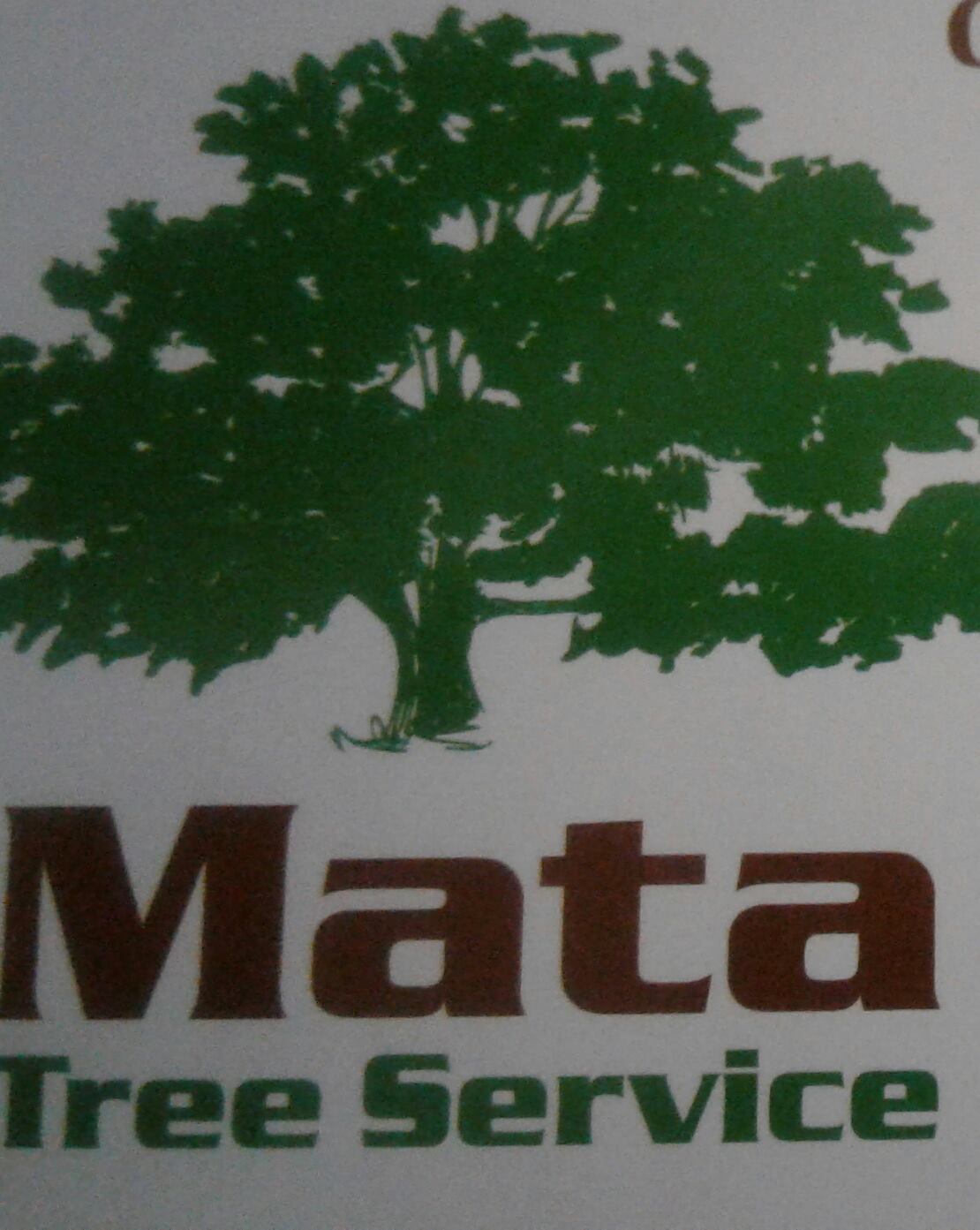 Tree Service Co. 14893 Co Rd 2132, Tatum Texas 75691