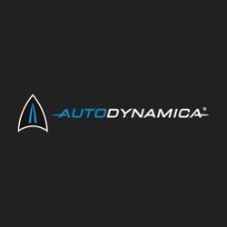 Autodynamica