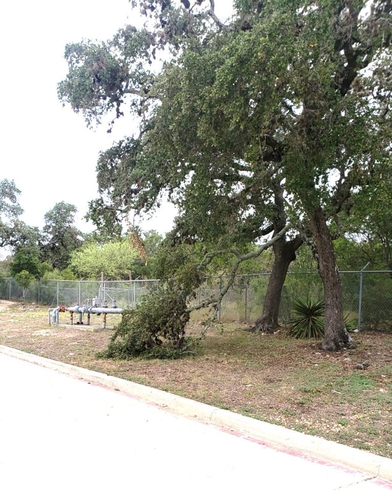 Urban Tree Company 137 W Specht Rd, Timberwood Park Texas 78260