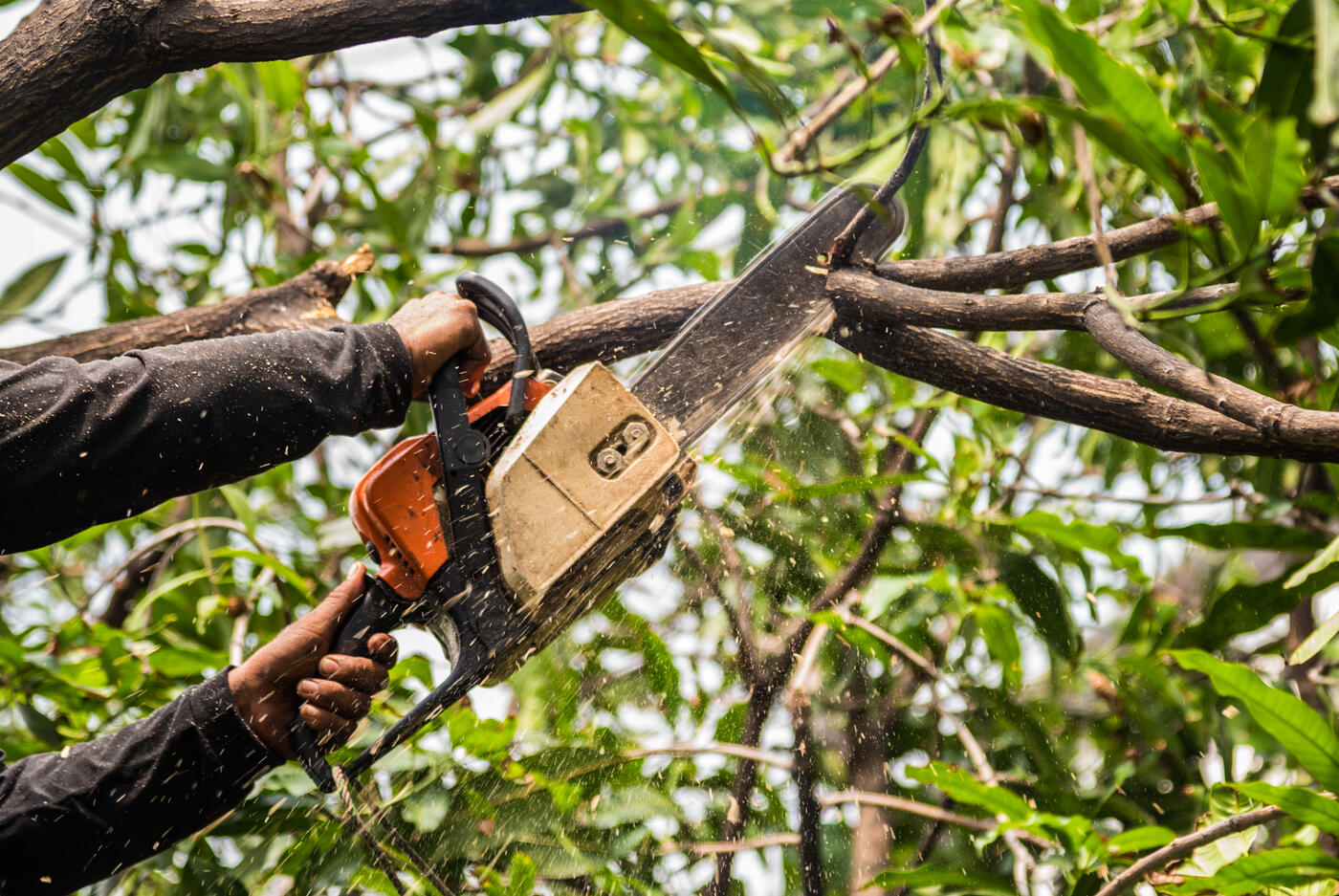 Photo credit: nextdoor