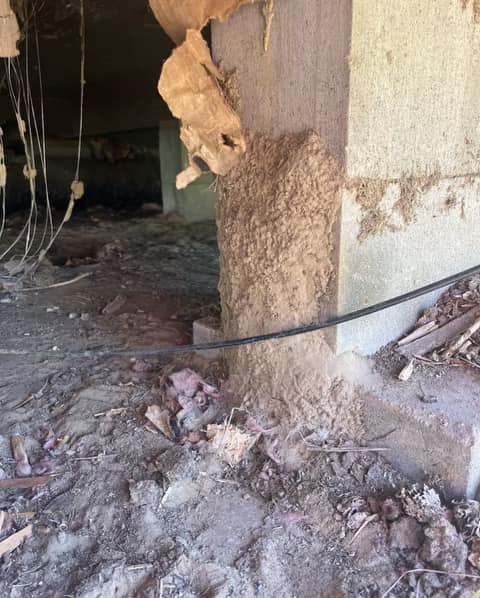PestcoPro Termite & Pest Control 18004 I-10, Vidor Texas 77662