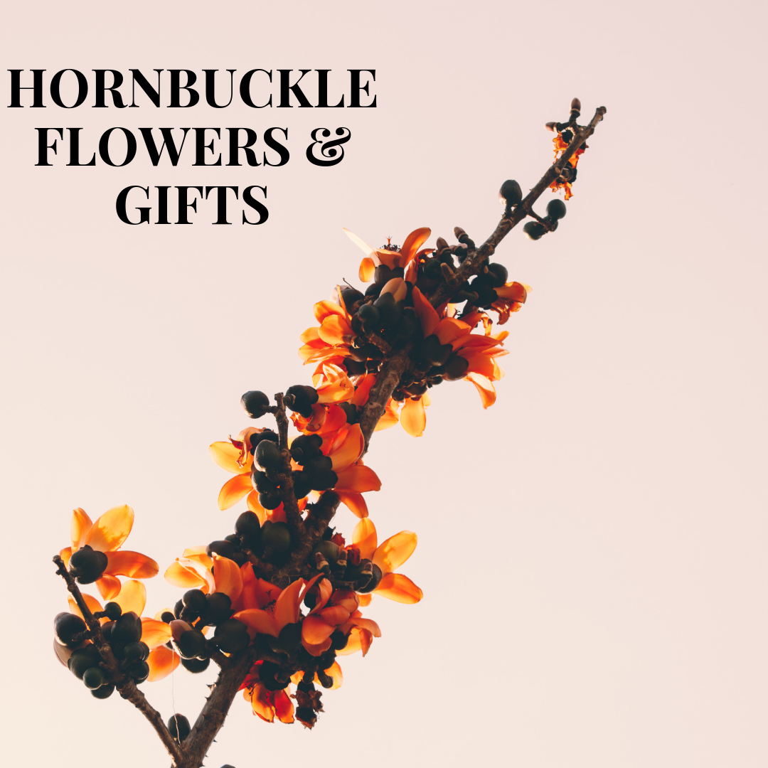 Hornbuckle Flowers & Gifts 703 S Main St, Winnsboro Texas 75494