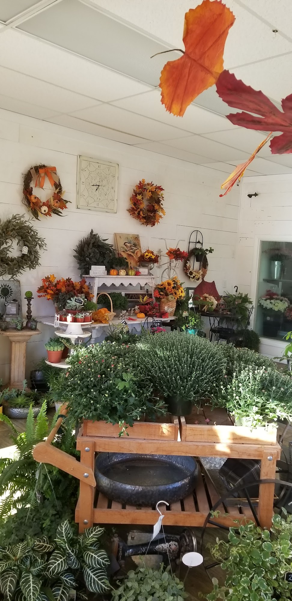 The Flower Shop 77 S Main St, Blanding Utah 84511