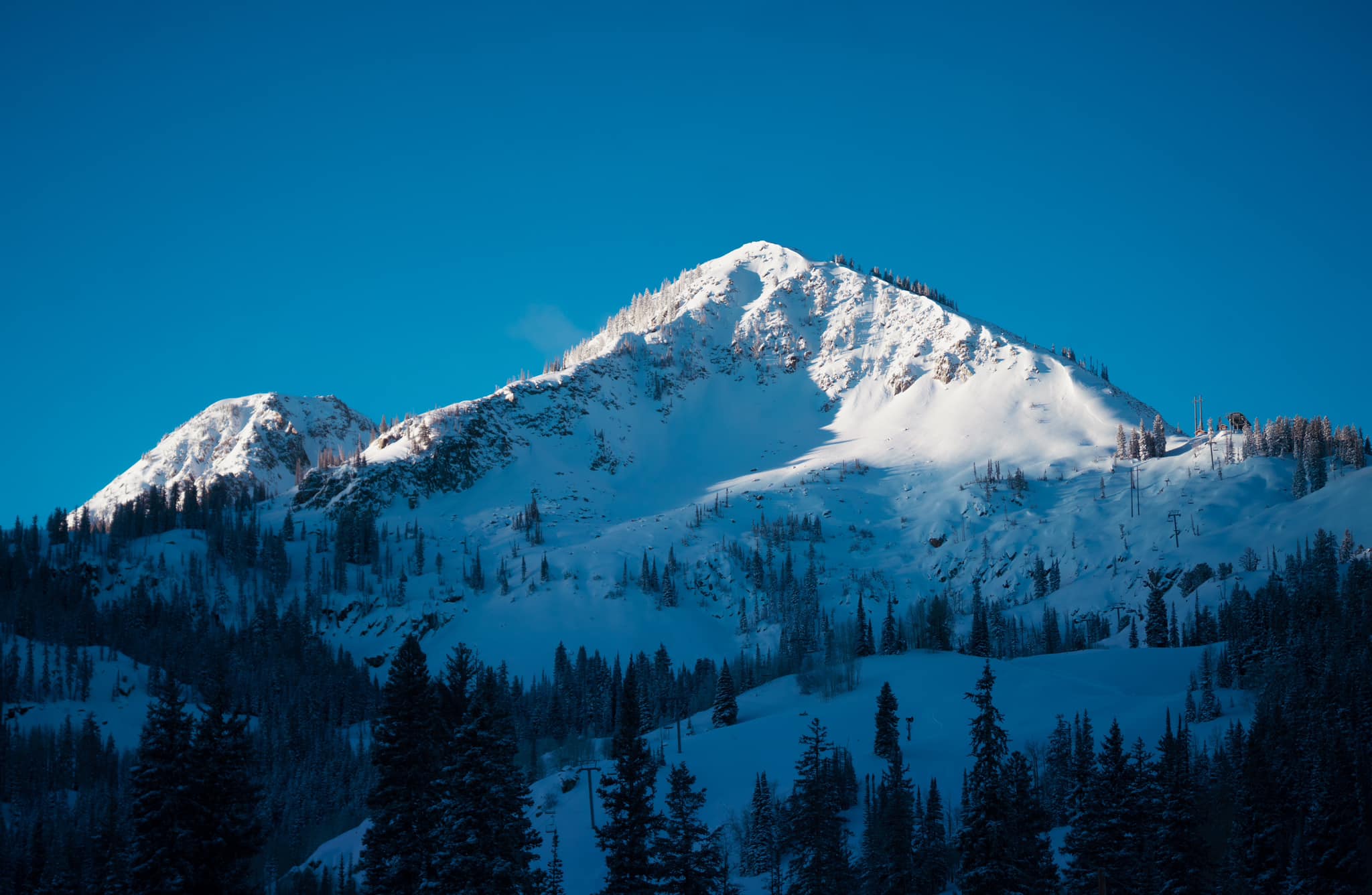 Alpine Rose at Brighton Resort