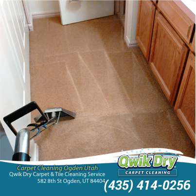 Qwik Dry Carpet & Tile Cleaning Service