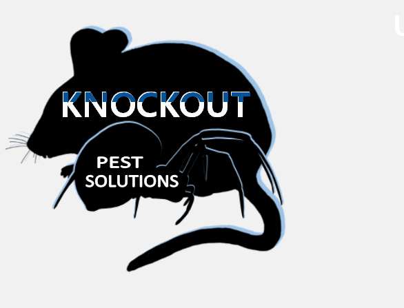 KNOCKOUT Pest Solutions