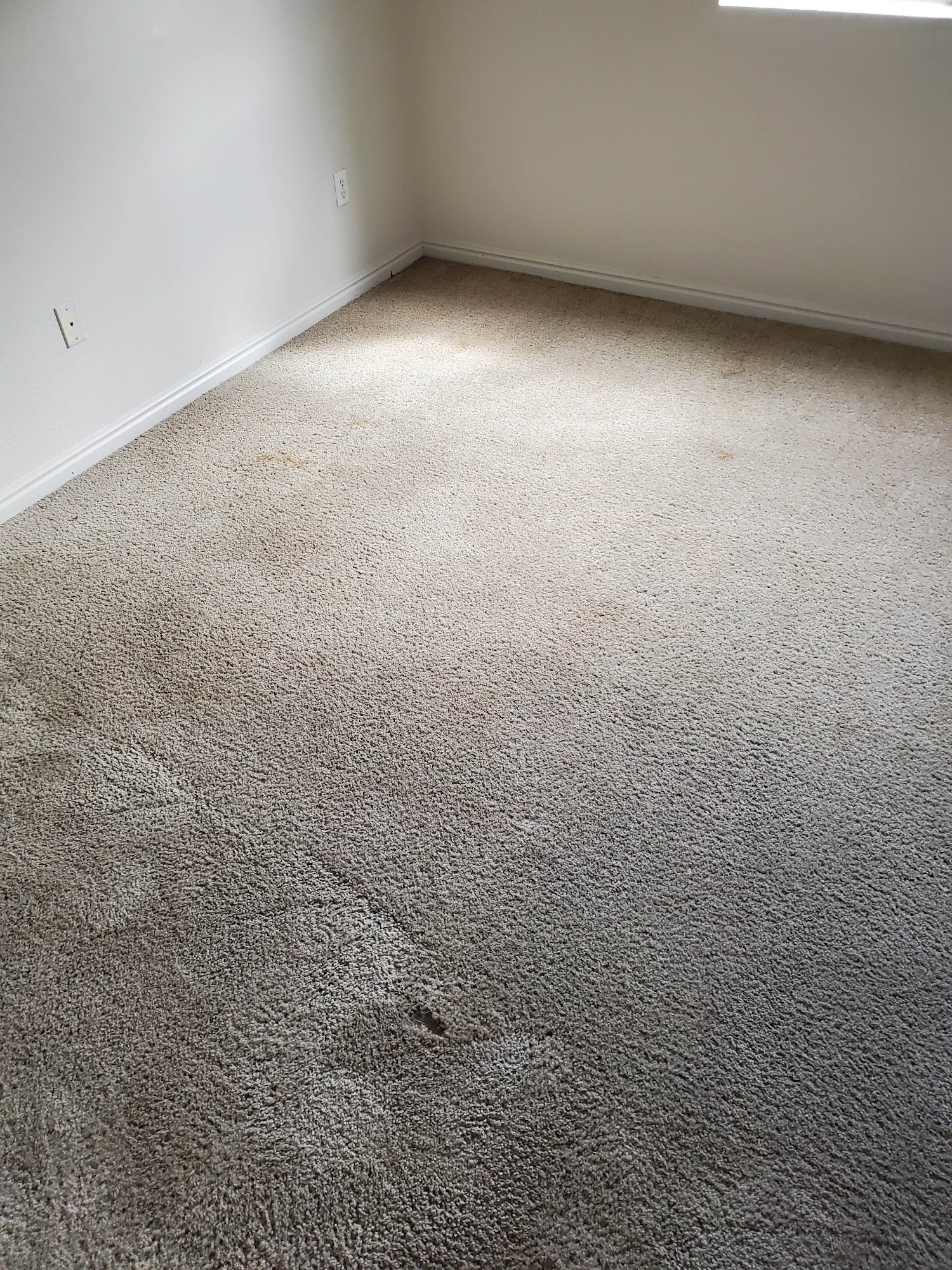 Earley's Carpet Cleaning