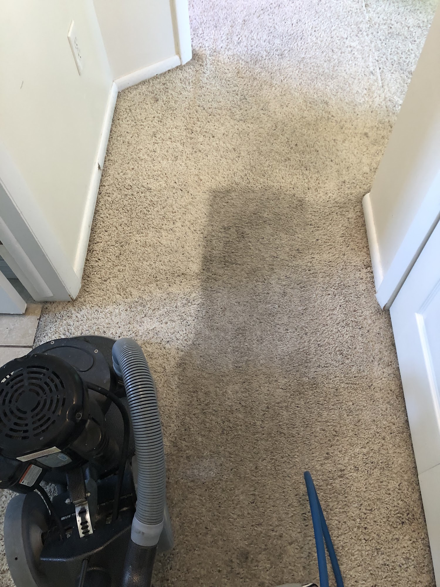 Riley's Carpet Cleaning