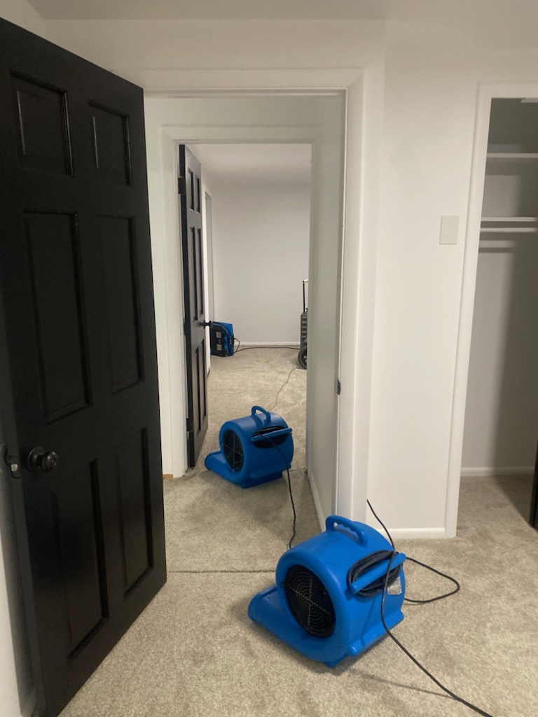 Towers Carpet Cleaning