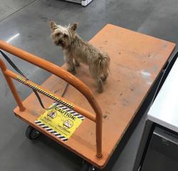 Pro Desk at The Home Depot