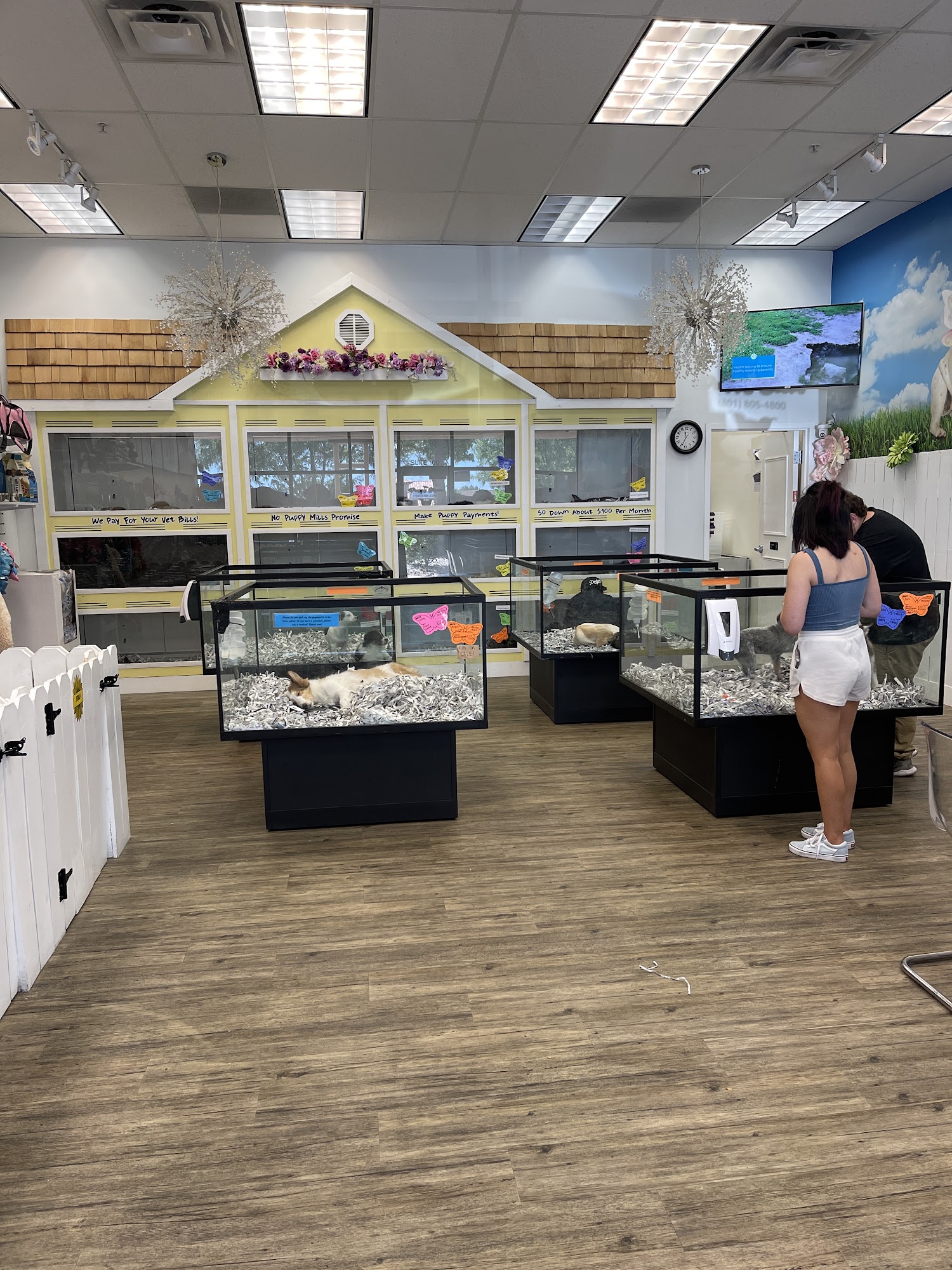 The Puppy Store Salt Lake City West Jordan