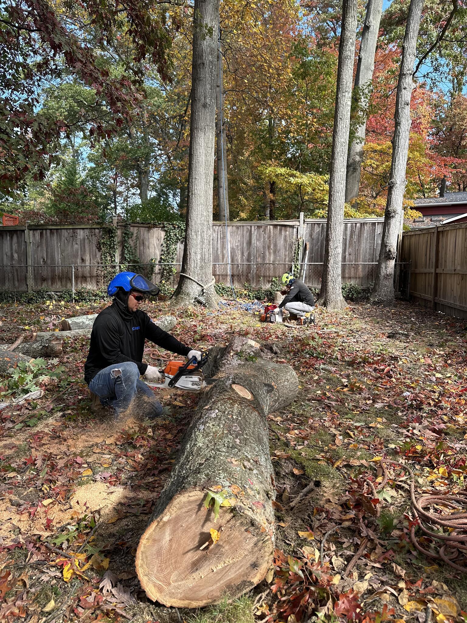 Photo credit: nextdoor