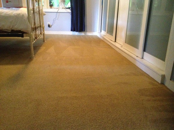 Tulip Carpet Cleaning of Arlington