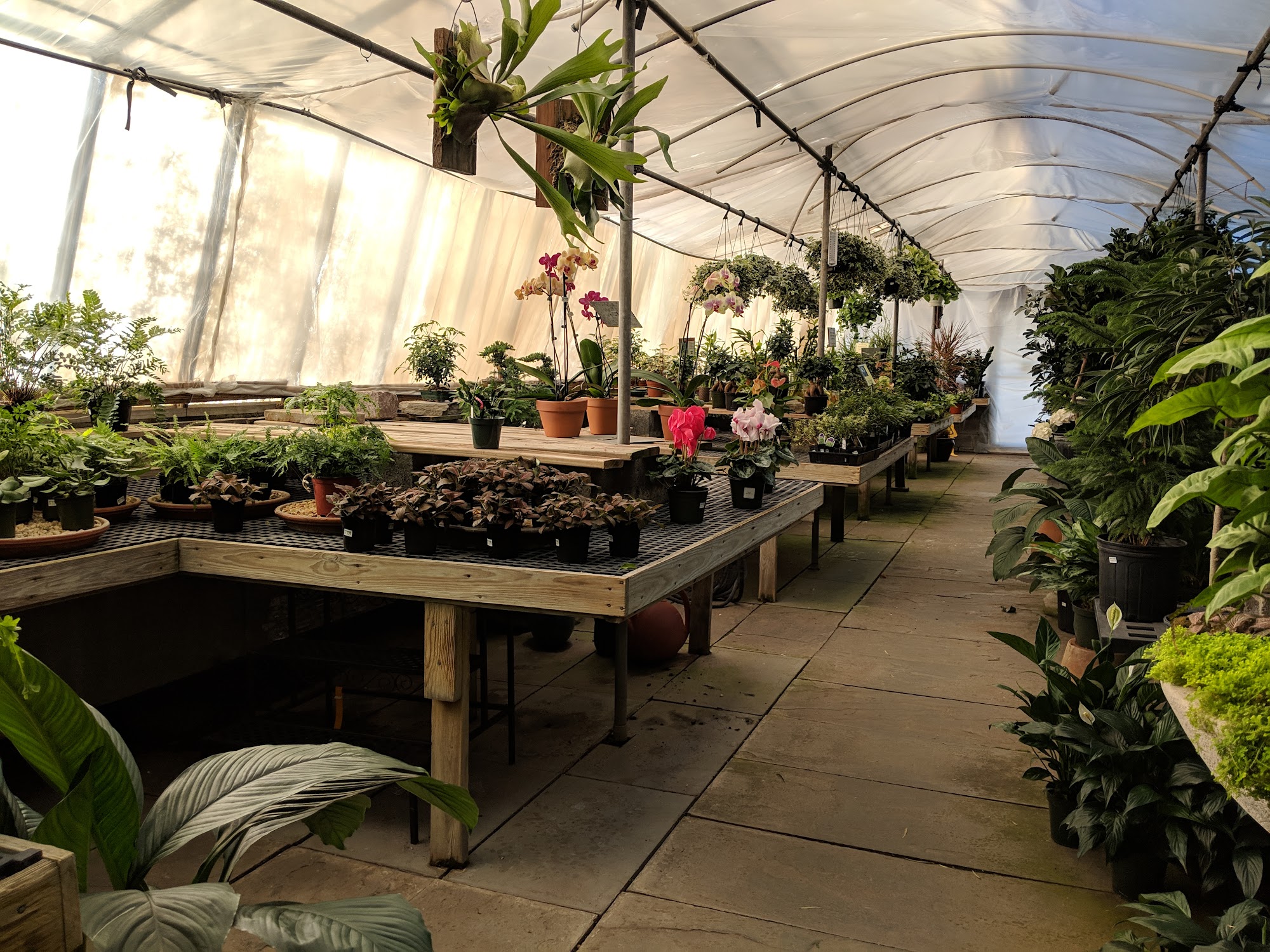 Burke Nursery & Garden Centre