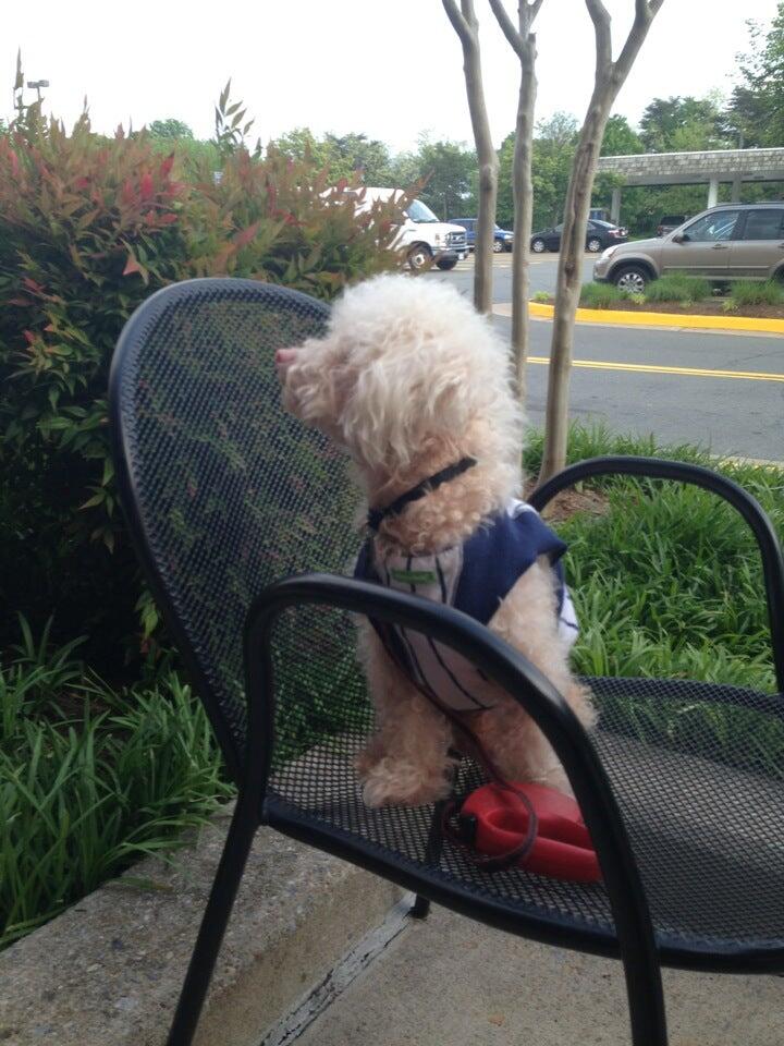 Photo credit: nextdoor