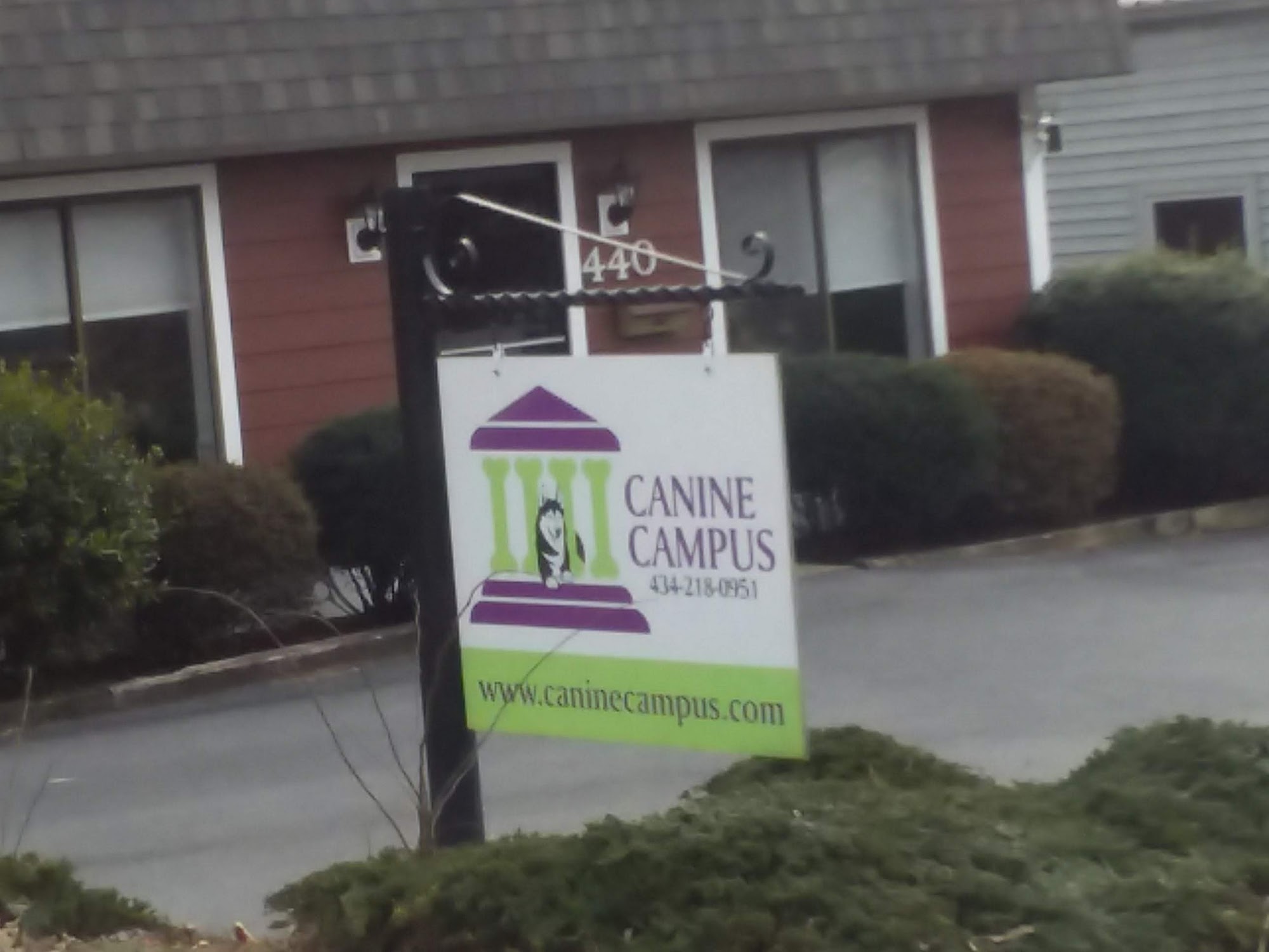 Canine Campus Charlottesville