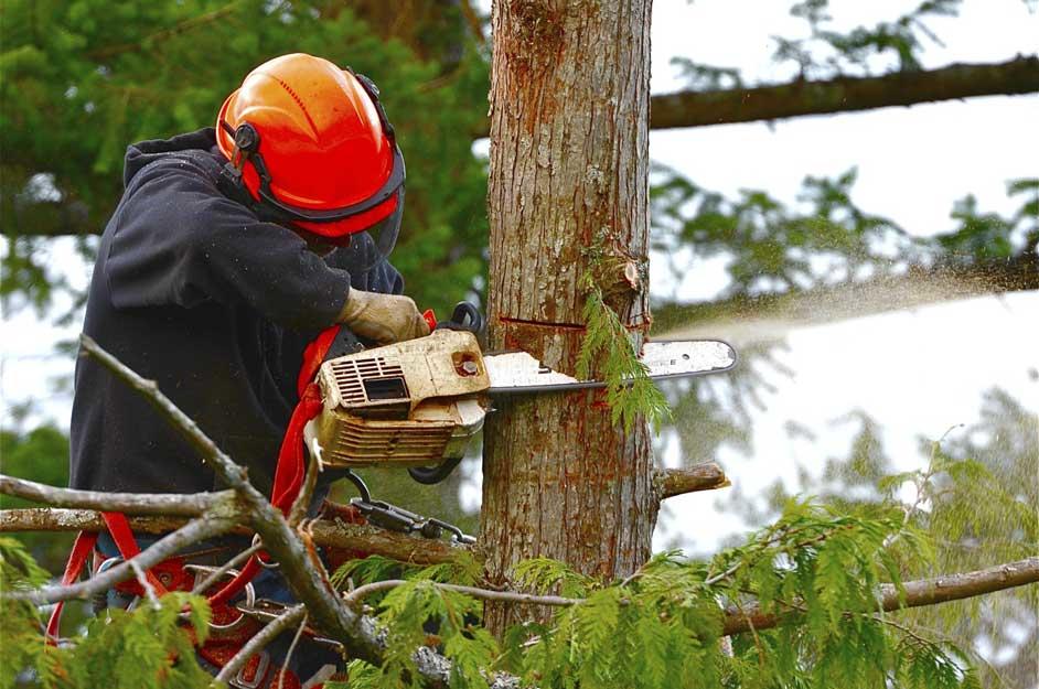 Final Touch Tree Service