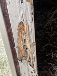 Antipest Termite & Pest Control