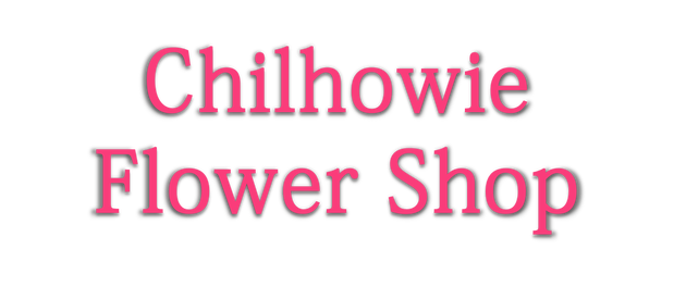 Chilhowie Flower Shop 1961 E Lee Hwy, Chilhowie Virginia 24319
