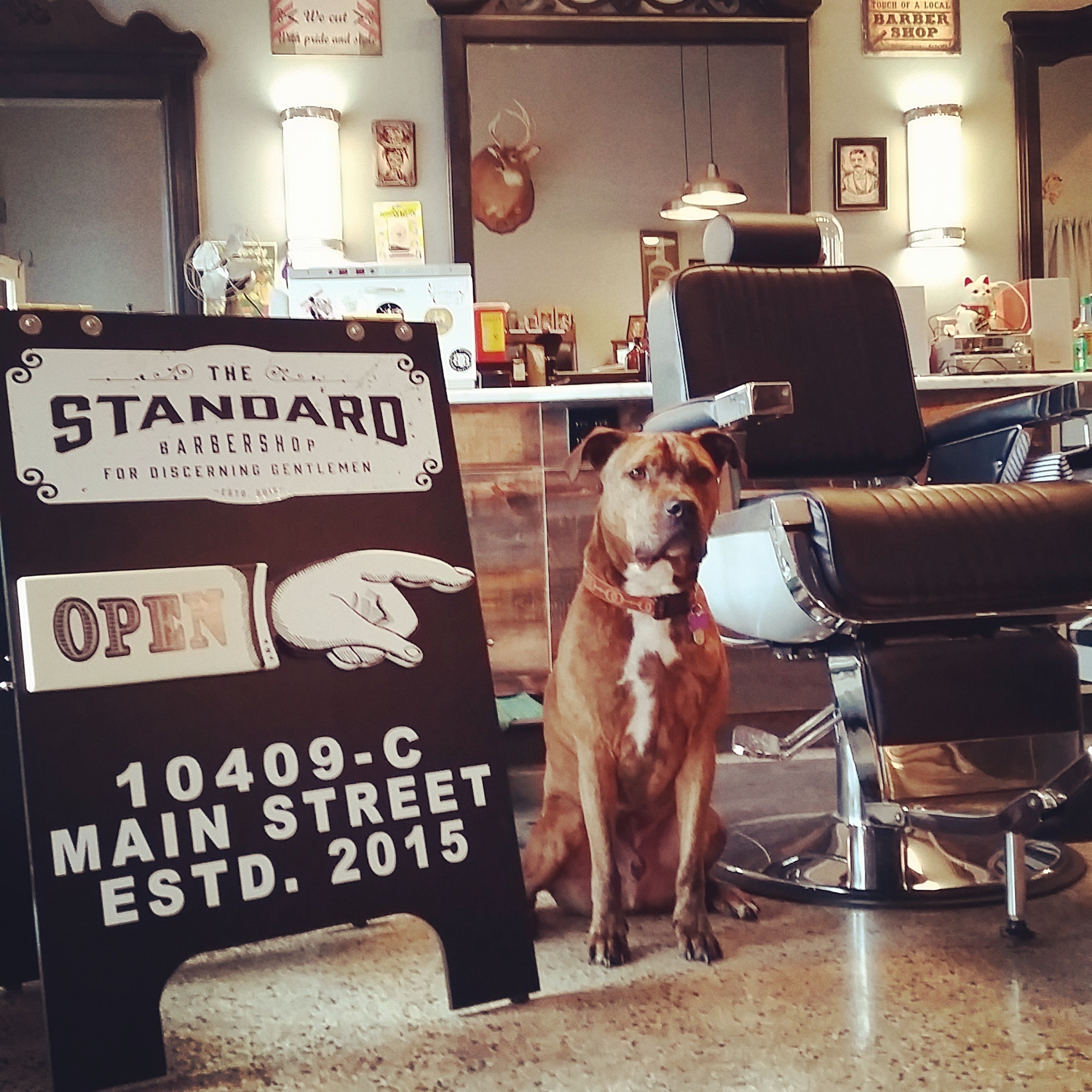 The Standard Barbershop