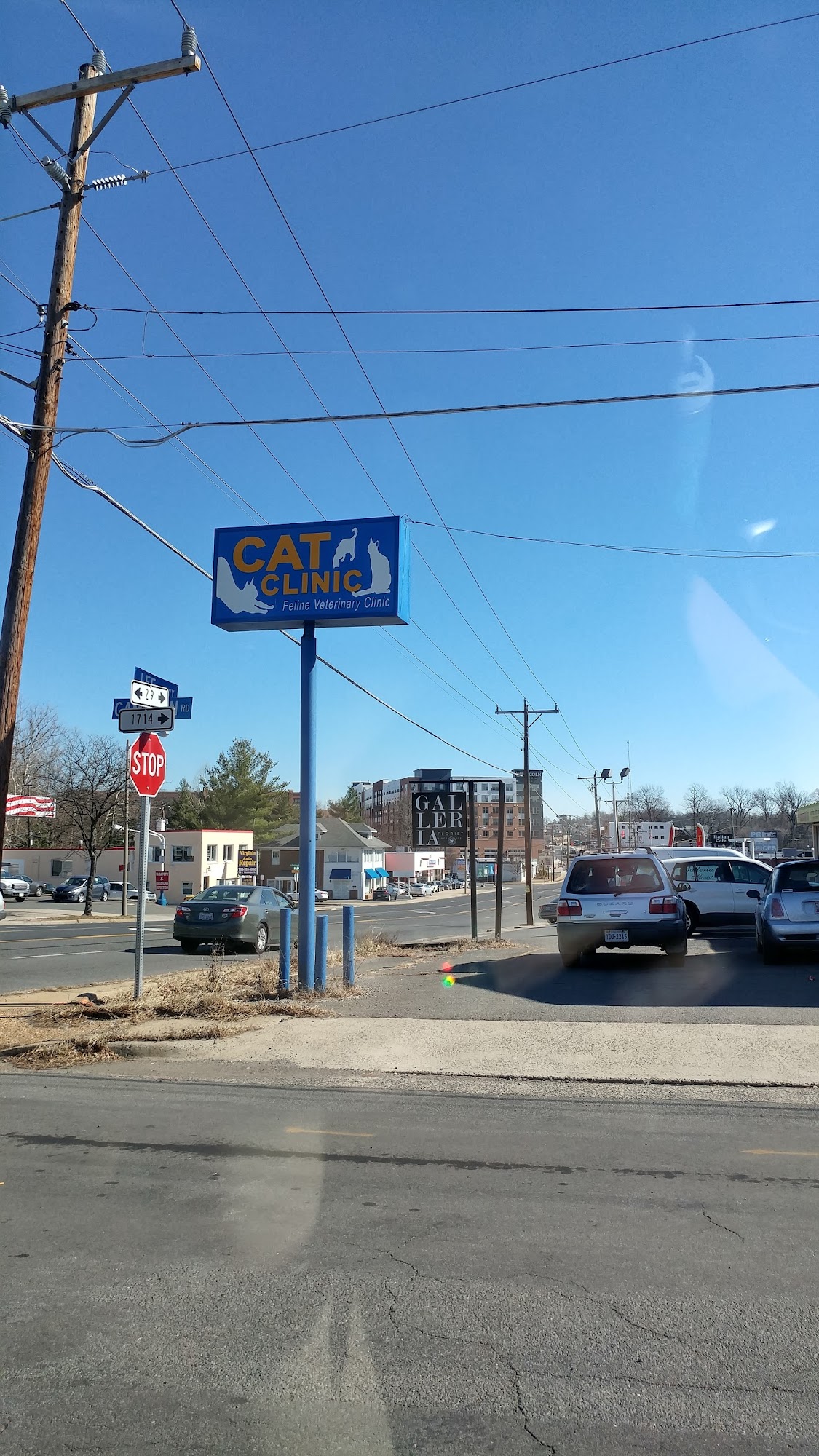 Feline Veterinary Clinic