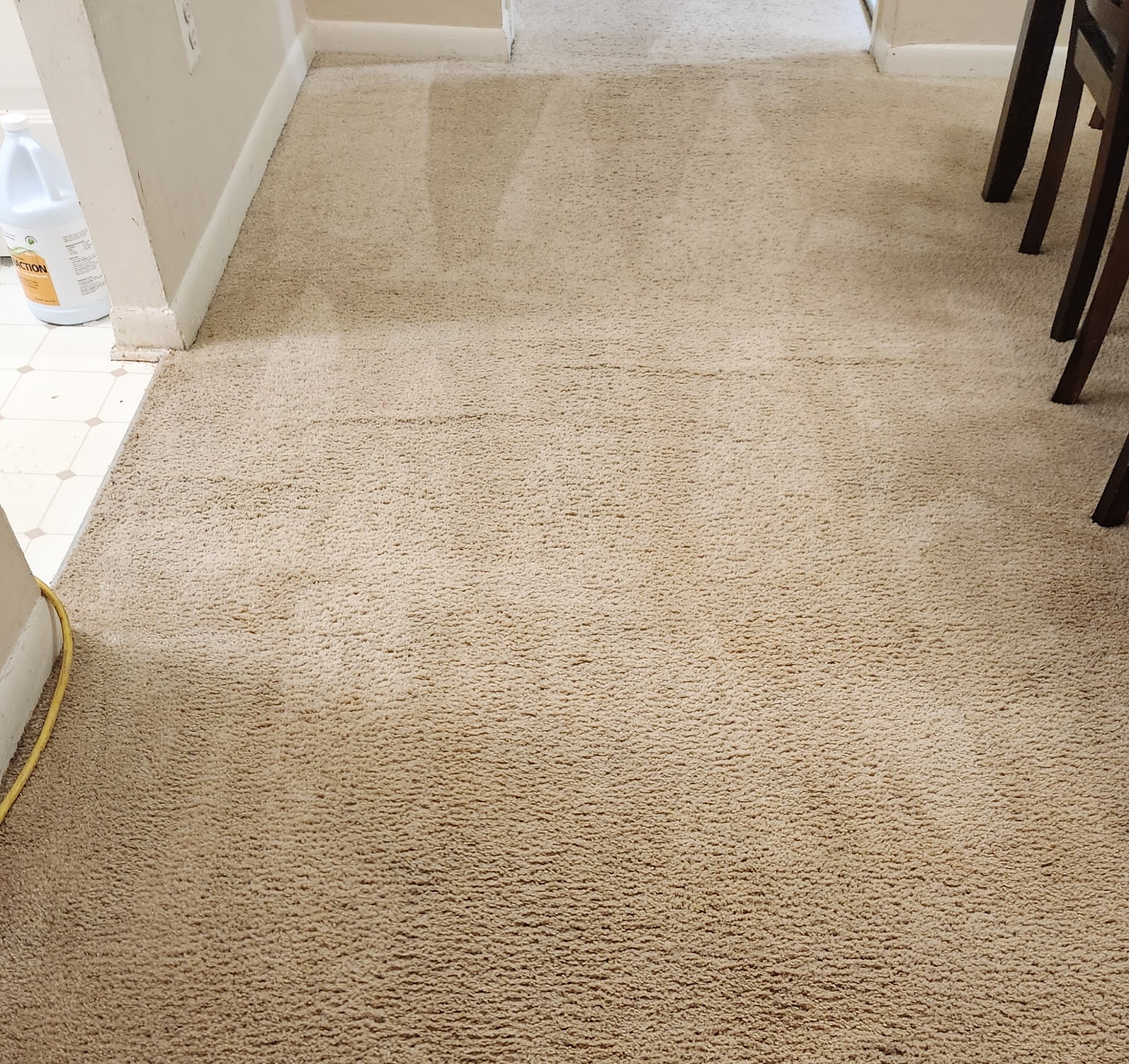 Make You Clean Carpet & Hardwood Cleaning