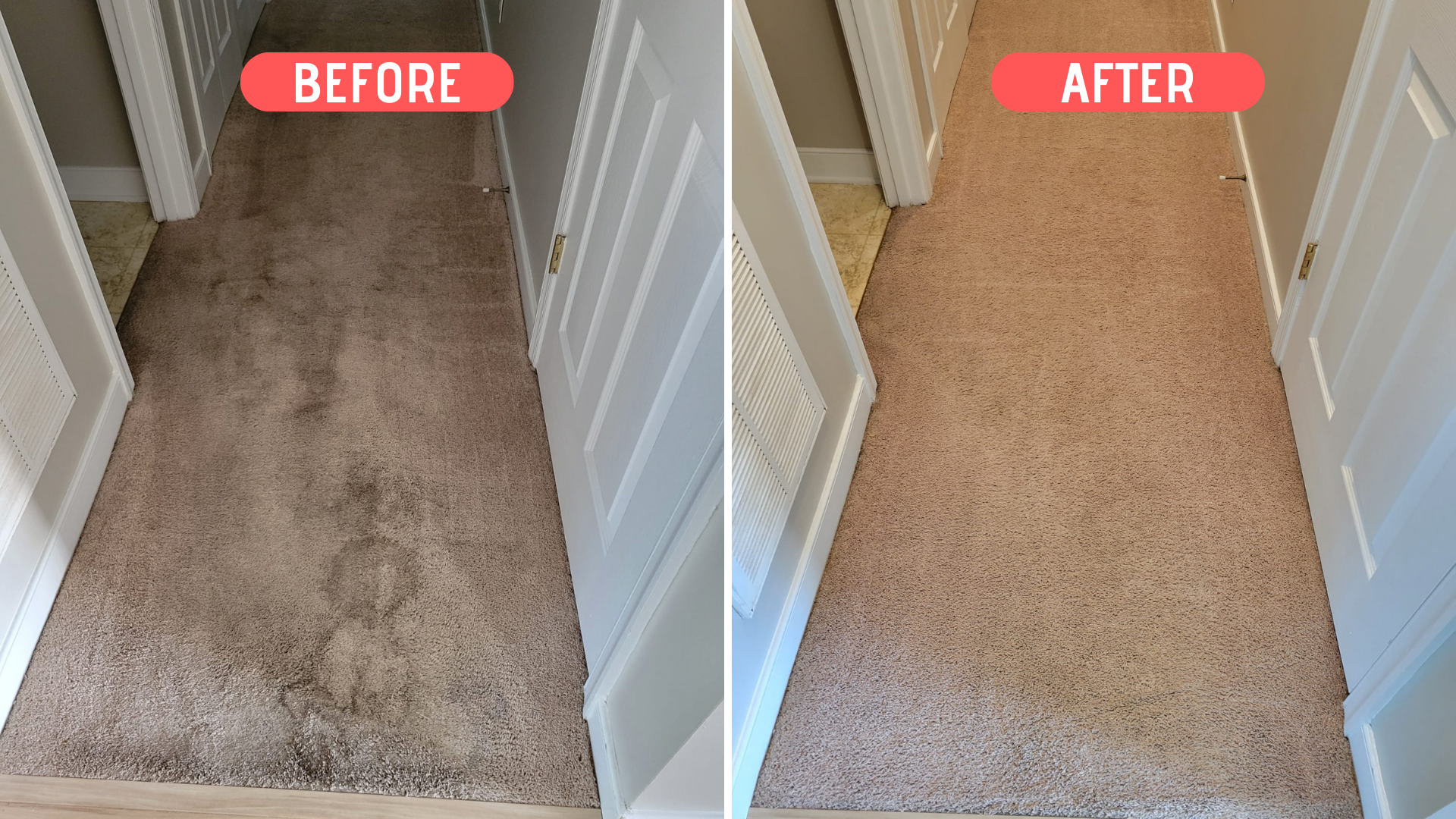 OEO Carpet and Upholstery Cleaning