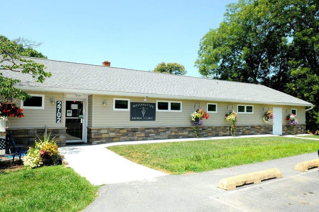 Massanutten Animal Clinic