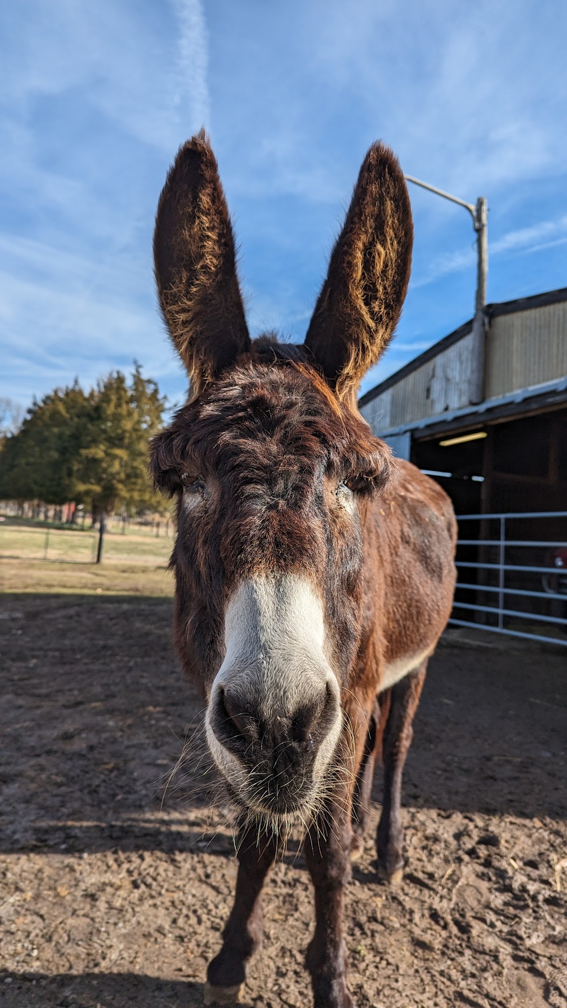 Hooves & Paws Animal Rescue 7303 Poindexter Rd, Louisa Virginia 23093