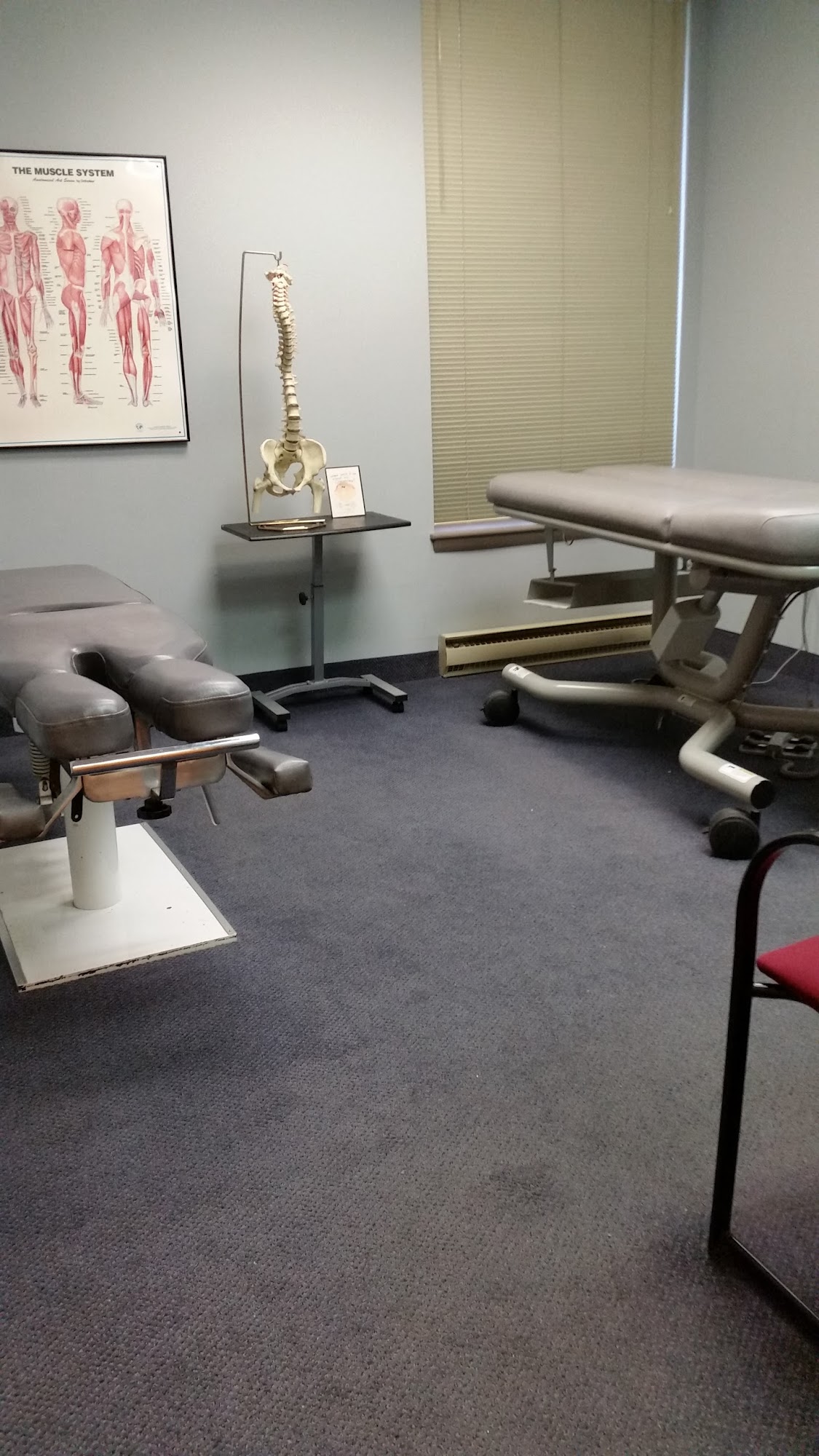 Commonhealth Chiropractic