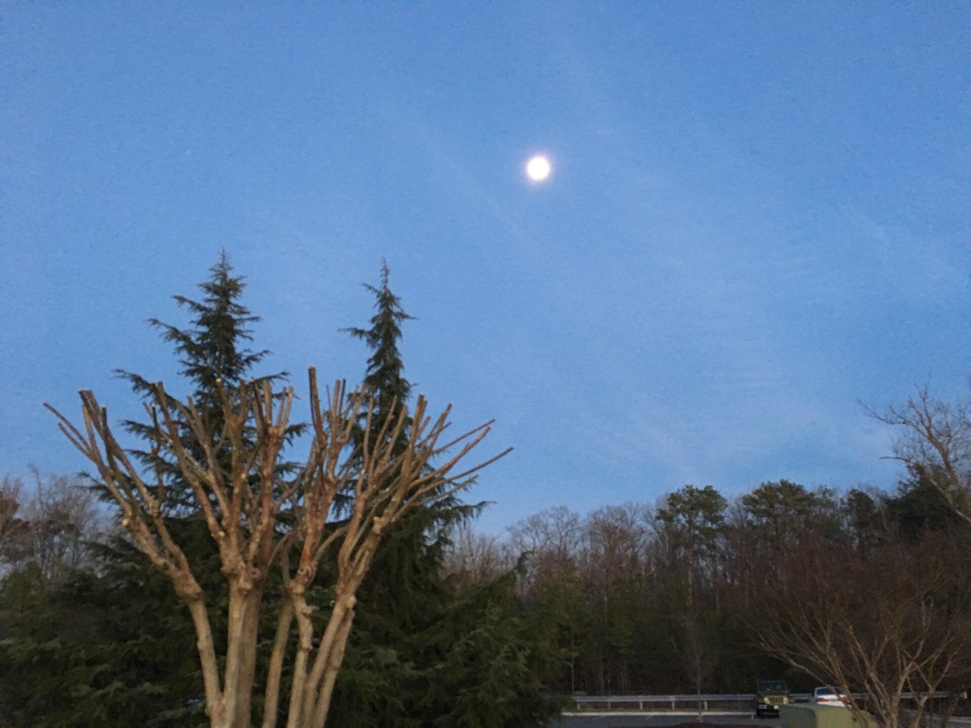 Photo credit: nextdoor