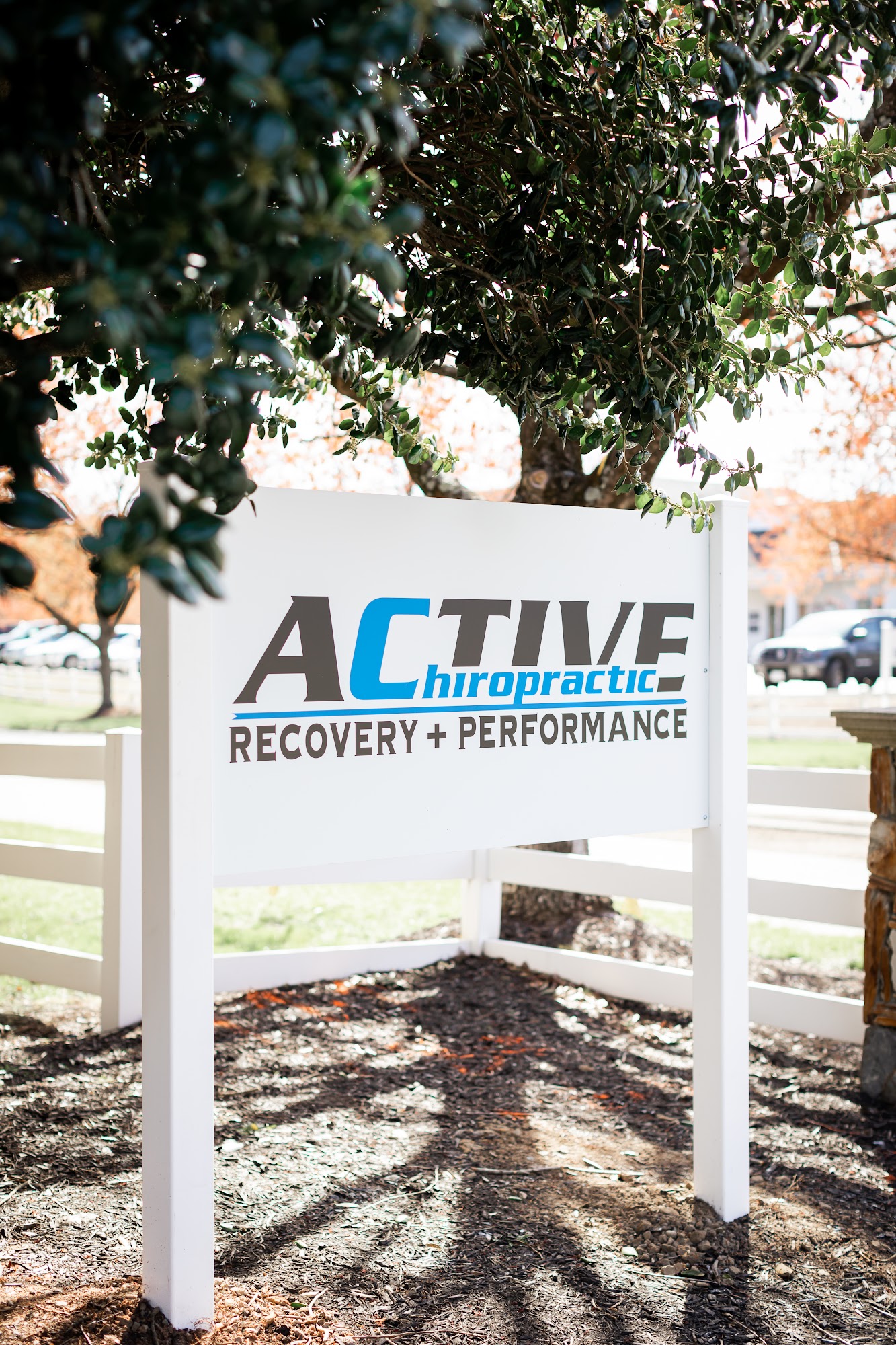 Active Chiropractic Recovery and Performance
