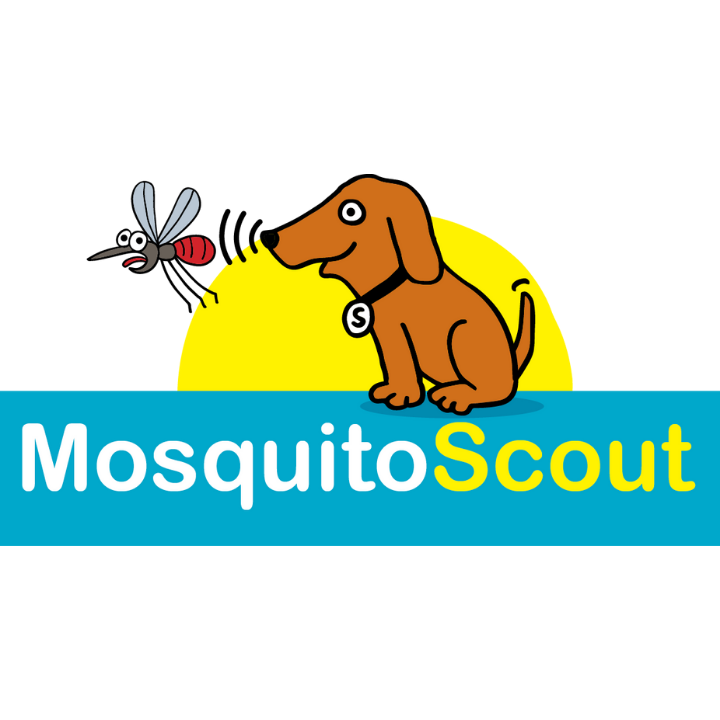 Mosquito Scout