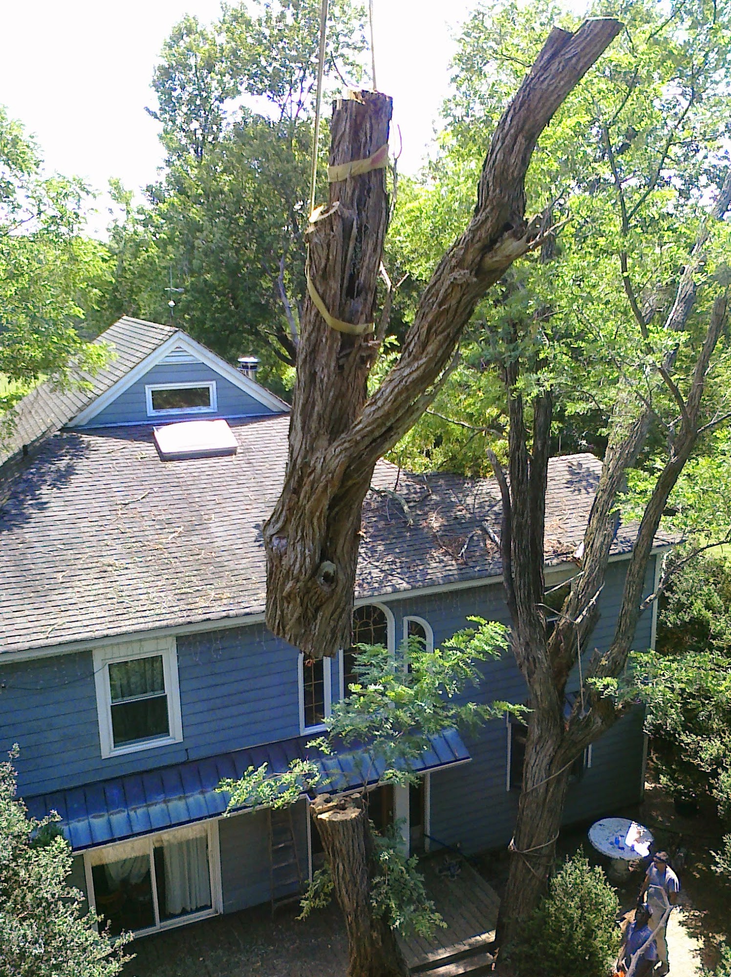 Call Tree Services Inc