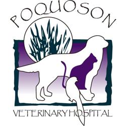 Poquoson Veterinary Hospital: Jean B. Eddy, DVM