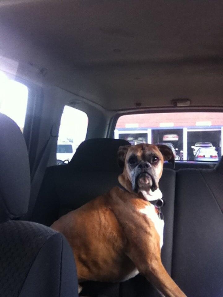 Photo credit: nextdoor