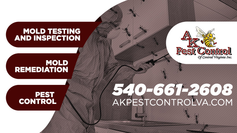 AK Pest Control Central VA 5451 Blue Run Rd, Somerset Virginia 22972