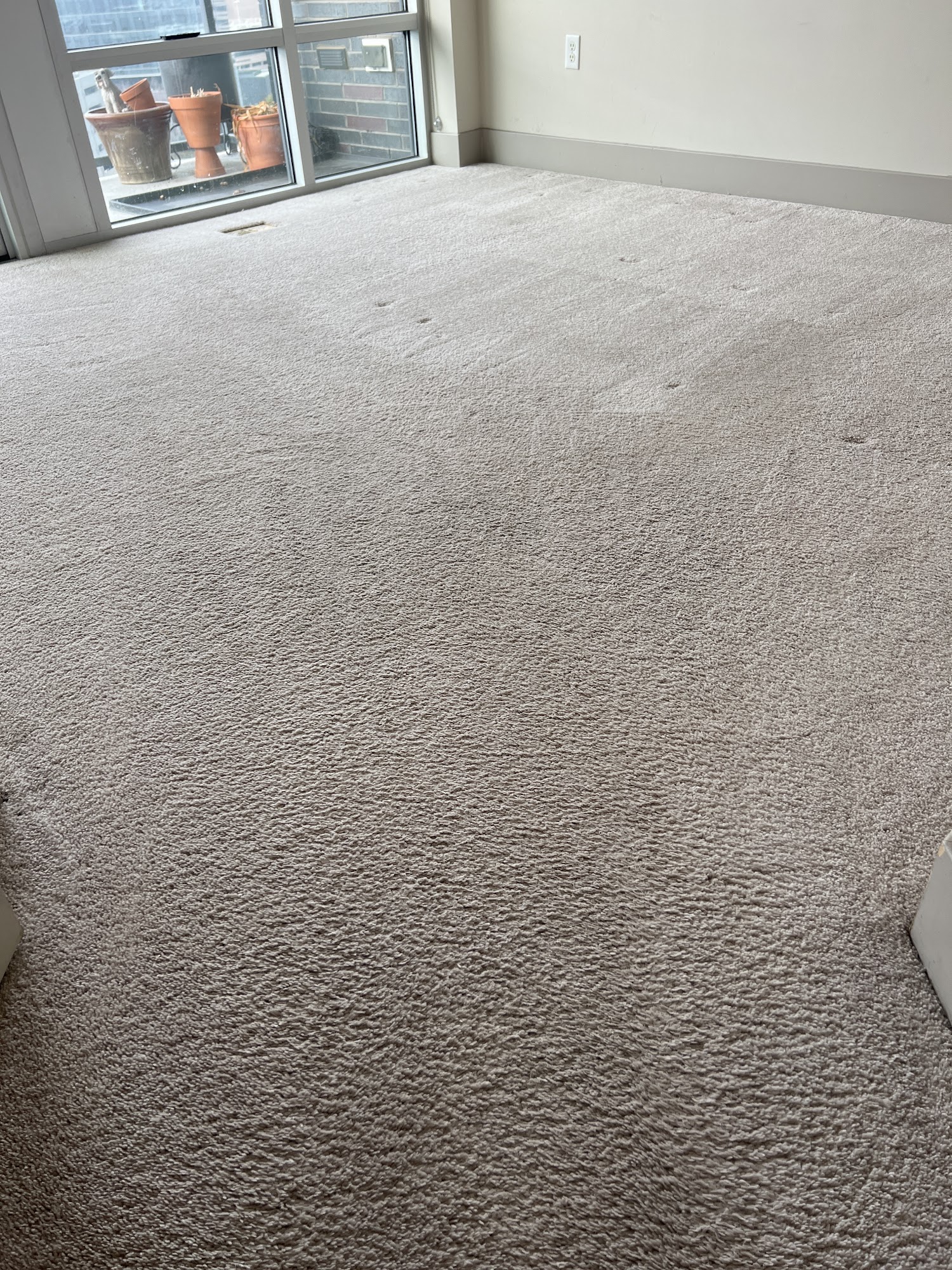 Shiny Carpet Cleaning