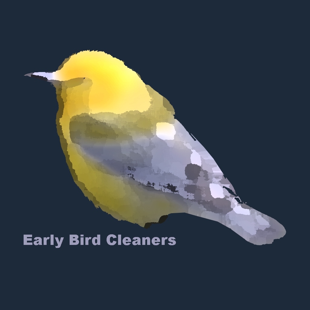 Early Bird Cleaners