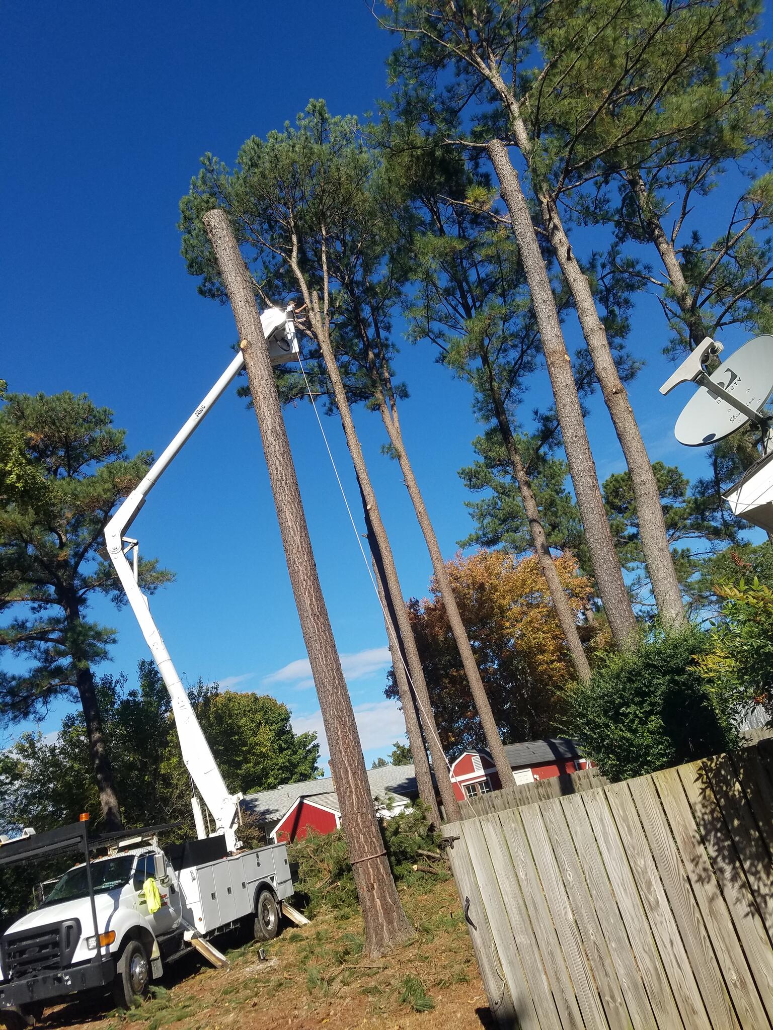 Photo credit: nextdoor