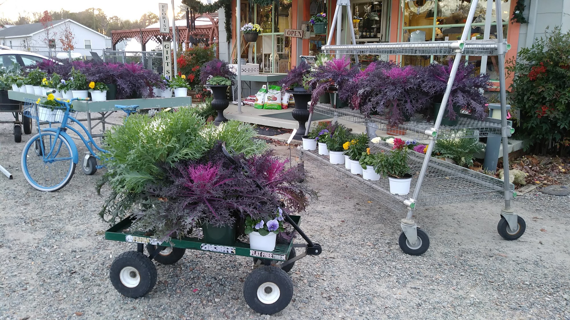 Farmer Joe's Greenhouse & Garden 12099 Rolfe Hwy, Surry Virginia 23883