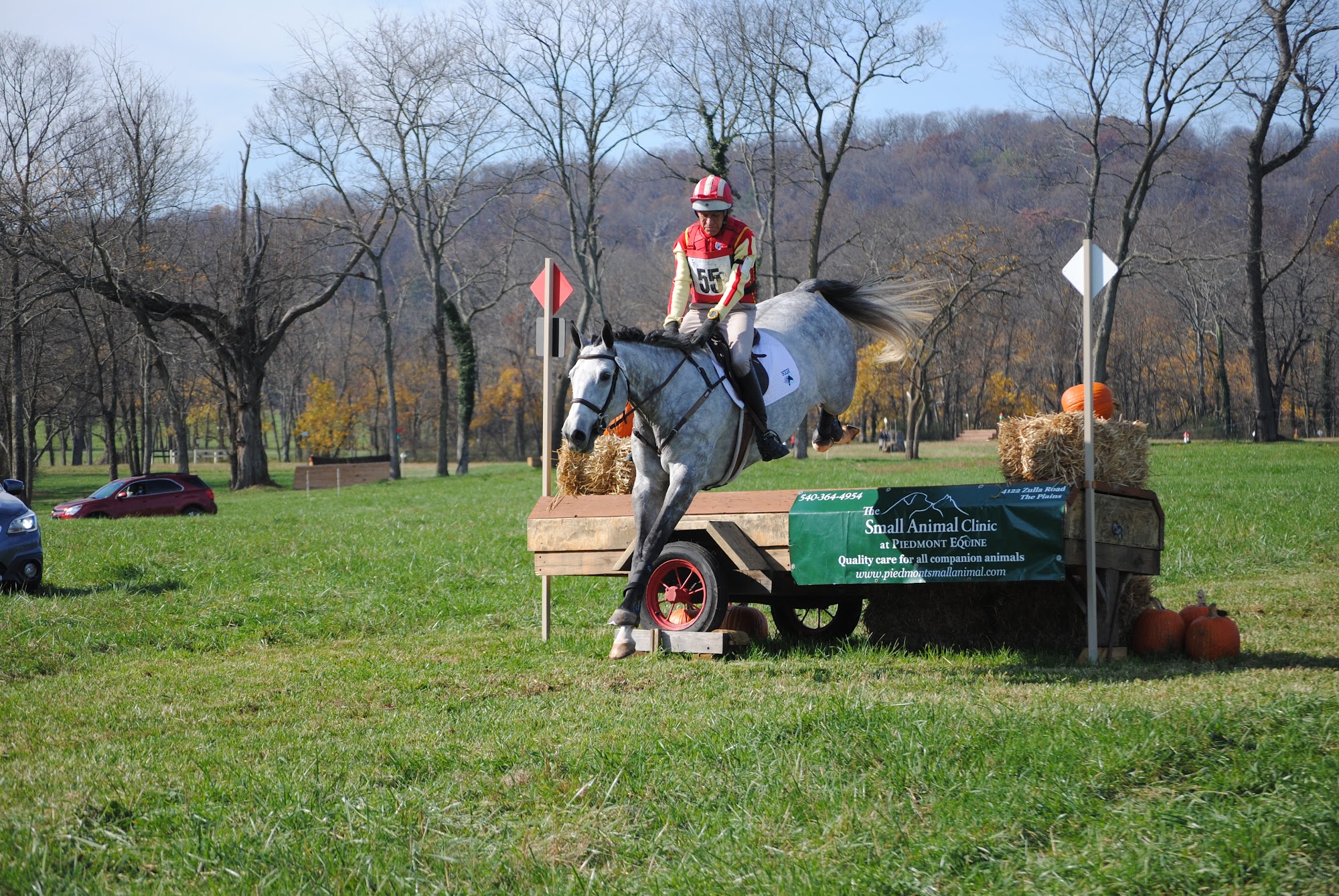 Piedmont Equine Practice