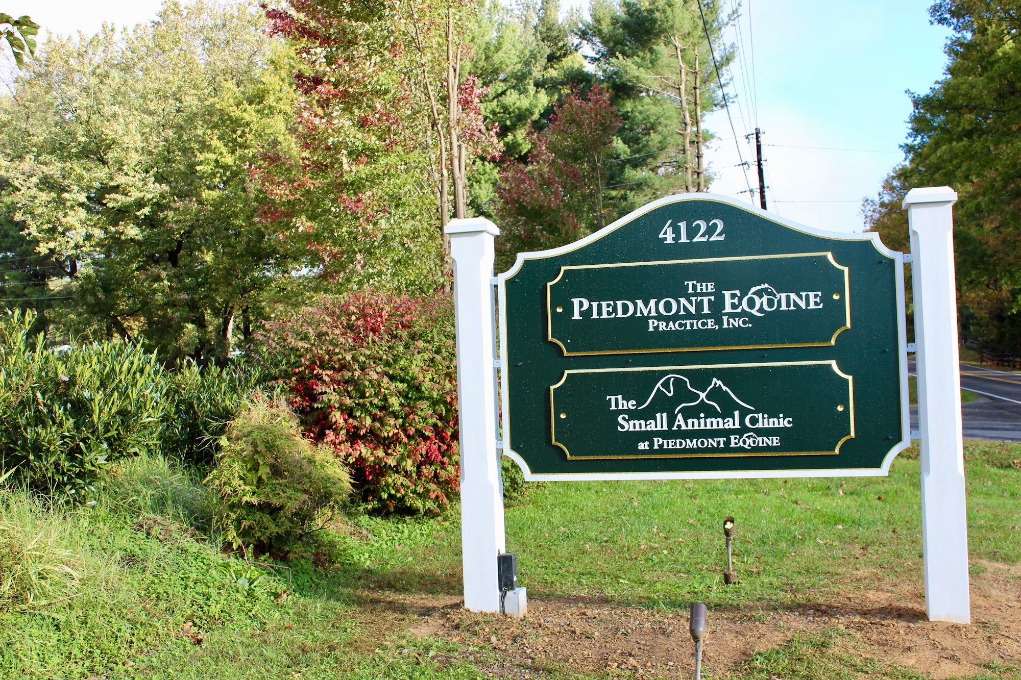 The Small Animal Clinic at Piedmont Equine