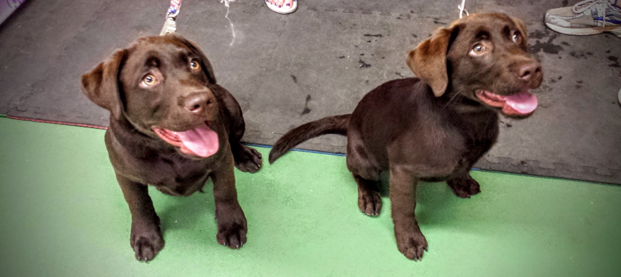 Field of Dreams Vinton