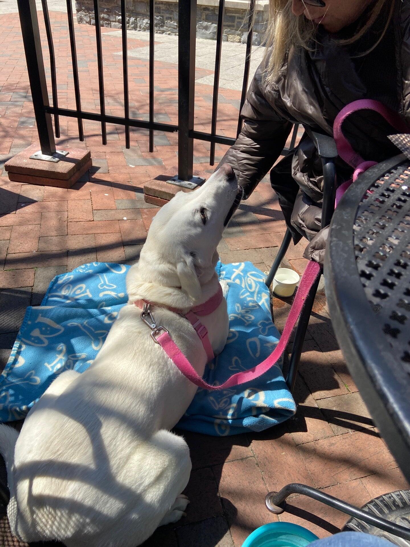 Photo credit: nextdoor