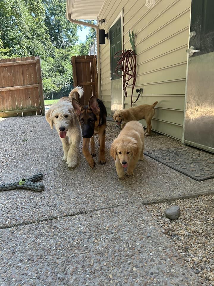 Photo credit: nextdoor