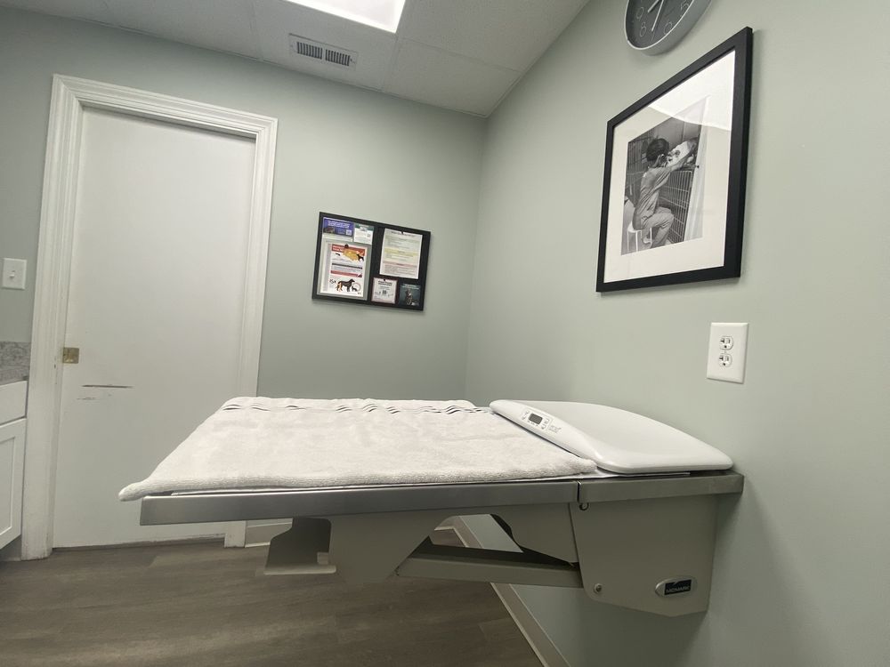 Animal Medical Care Center: Macgdougall Andrew DVM Yorktown