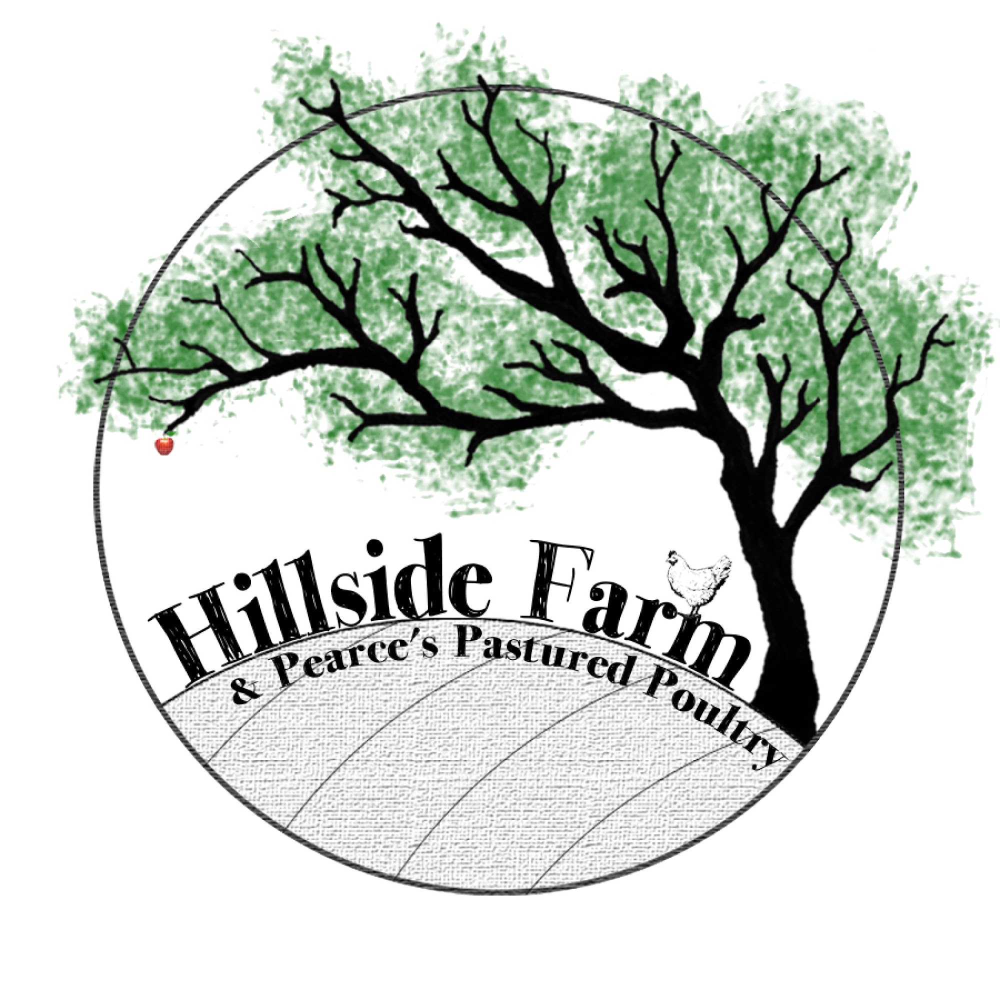 Hillside Farm 919 Barton Rd, West Glover Vermont 05875