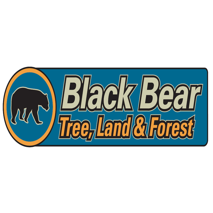 Black Bear Tree Service 3466 Franklin St, Brandon Vermont 05733